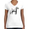 Women's Fine Jersey V-Neck Tee Women's Fine Jersey V-Neck Tee Thumbnail