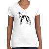 Women's Fine Jersey V-Neck Tee Women's Fine Jersey V-Neck Tee Thumbnail