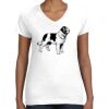 Women's Fine Jersey V-Neck Tee Women's Fine Jersey V-Neck Tee Thumbnail
