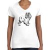 Women's Fine Jersey V-Neck Tee Women's Fine Jersey V-Neck Tee Thumbnail