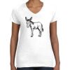 Women's Fine Jersey V-Neck Tee Women's Fine Jersey V-Neck Tee Thumbnail