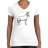 Women's Fine Jersey V-Neck Tee Women's Fine Jersey V-Neck Tee Thumbnail