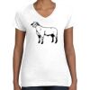 Women's Fine Jersey V-Neck Tee Women's Fine Jersey V-Neck Tee Thumbnail