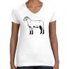 Women's Fine Jersey V-Neck Tee Women's Fine Jersey V-Neck Tee Thumbnail