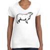 Women's Fine Jersey V-Neck Tee Women's Fine Jersey V-Neck Tee Thumbnail