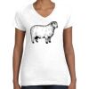 Women's Fine Jersey V-Neck Tee Women's Fine Jersey V-Neck Tee Thumbnail