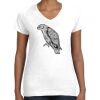 Women's Fine Jersey V-Neck Tee Women's Fine Jersey V-Neck Tee Thumbnail