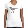 Women's Fine Jersey V-Neck Tee Women's Fine Jersey V-Neck Tee Thumbnail