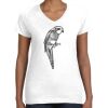 Women's Fine Jersey V-Neck Tee Women's Fine Jersey V-Neck Tee Thumbnail