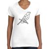 Women's Fine Jersey V-Neck Tee Women's Fine Jersey V-Neck Tee Thumbnail
