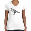Women's Fine Jersey V-Neck Tee Women's Fine Jersey V-Neck Tee Thumbnail
