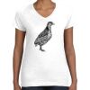 Women's Fine Jersey V-Neck Tee Women's Fine Jersey V-Neck Tee Thumbnail