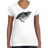 Women's Fine Jersey V-Neck Tee Women's Fine Jersey V-Neck Tee Thumbnail