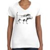 Women's Fine Jersey V-Neck Tee Women's Fine Jersey V-Neck Tee Thumbnail