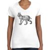 Women's Fine Jersey V-Neck Tee Women's Fine Jersey V-Neck Tee Thumbnail