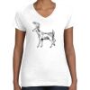 Women's Fine Jersey V-Neck Tee Women's Fine Jersey V-Neck Tee Thumbnail