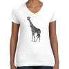 Women's Fine Jersey V-Neck Tee Women's Fine Jersey V-Neck Tee Thumbnail
