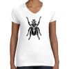 Women's Fine Jersey V-Neck Tee Women's Fine Jersey V-Neck Tee Thumbnail