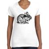Women's Fine Jersey V-Neck Tee Women's Fine Jersey V-Neck Tee Thumbnail