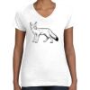 Women's Fine Jersey V-Neck Tee Women's Fine Jersey V-Neck Tee Thumbnail