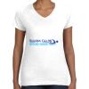 Women's Fine Jersey V-Neck Tee Women's Fine Jersey V-Neck Tee Thumbnail